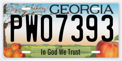 GA license plate PWO7393