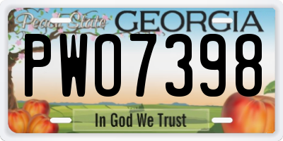 GA license plate PWO7398
