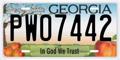 GA license plate PWO7442