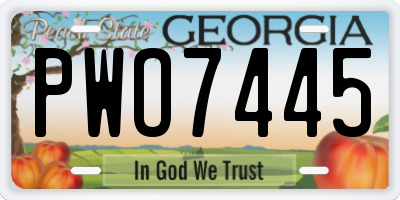 GA license plate PWO7445