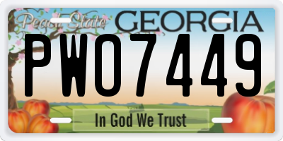 GA license plate PWO7449