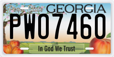 GA license plate PWO7460