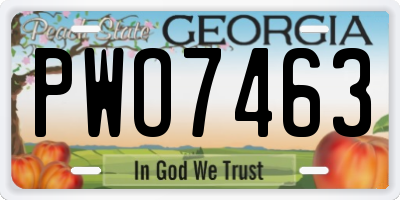 GA license plate PWO7463