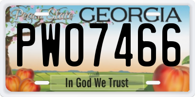 GA license plate PWO7466