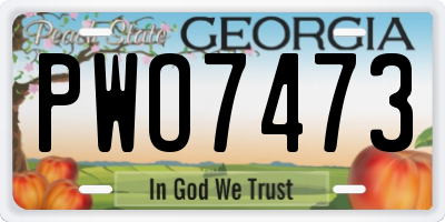 GA license plate PWO7473