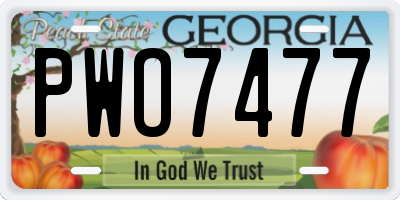 GA license plate PWO7477