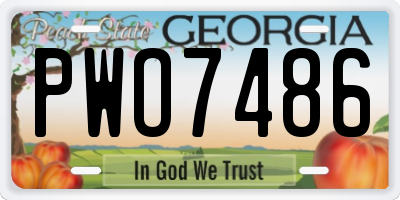 GA license plate PWO7486