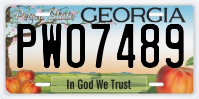 GA license plate PWO7489