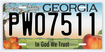 GA license plate PWO7511