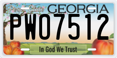 GA license plate PWO7512