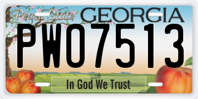 GA license plate PWO7513