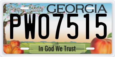 GA license plate PWO7515