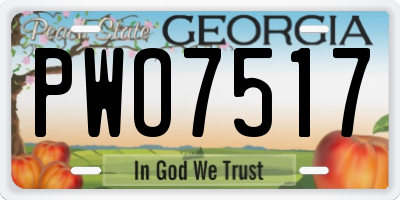 GA license plate PWO7517