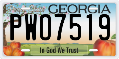 GA license plate PWO7519
