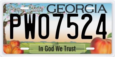 GA license plate PWO7524