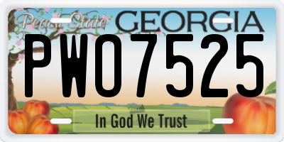 GA license plate PWO7525