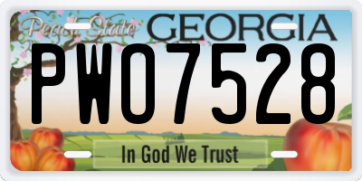 GA license plate PWO7528