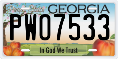GA license plate PWO7533