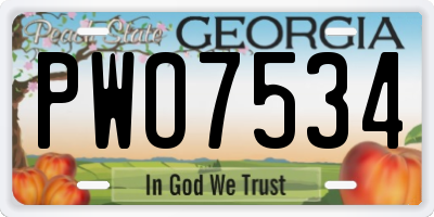 GA license plate PWO7534
