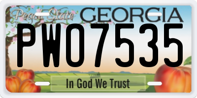 GA license plate PWO7535