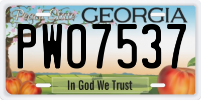 GA license plate PWO7537