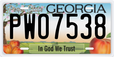GA license plate PWO7538