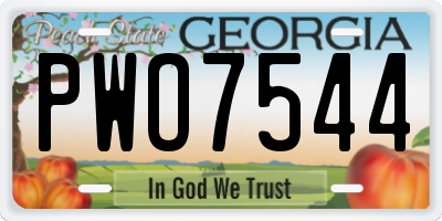 GA license plate PWO7544