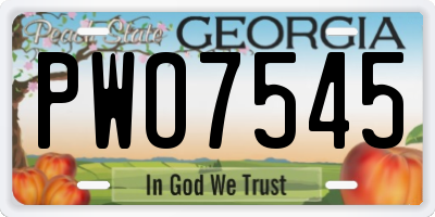 GA license plate PWO7545
