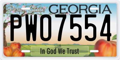 GA license plate PWO7554