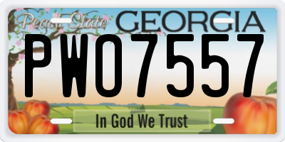 GA license plate PWO7557