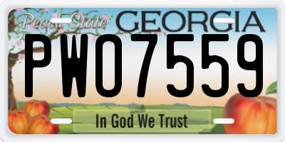 GA license plate PWO7559