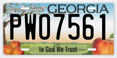 GA license plate PWO7561