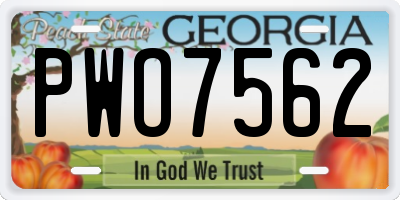 GA license plate PWO7562