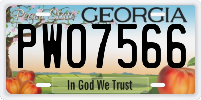 GA license plate PWO7566