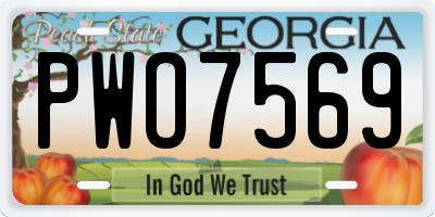 GA license plate PWO7569