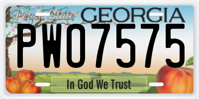 GA license plate PWO7575
