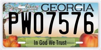 GA license plate PWO7576