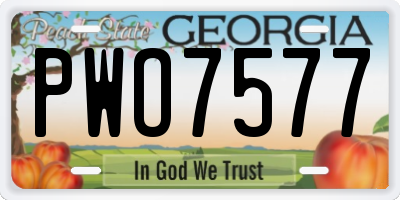 GA license plate PWO7577