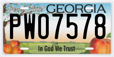 GA license plate PWO7578