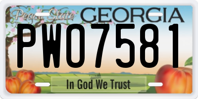 GA license plate PWO7581