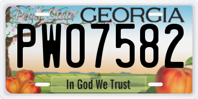 GA license plate PWO7582