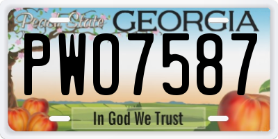 GA license plate PWO7587