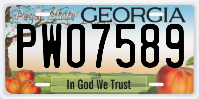 GA license plate PWO7589