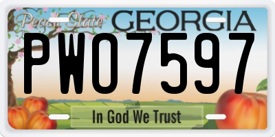 GA license plate PWO7597