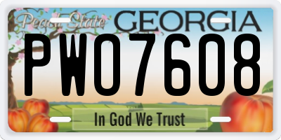 GA license plate PWO7608