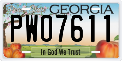 GA license plate PWO7611
