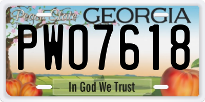 GA license plate PWO7618