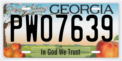 GA license plate PWO7639