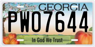 GA license plate PWO7644