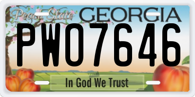 GA license plate PWO7646